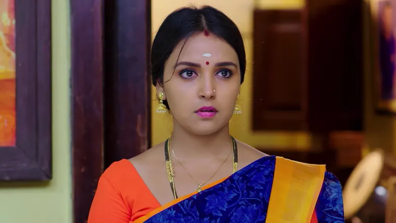 Kanakalakshmi Enjoys a Daydream Episode 284