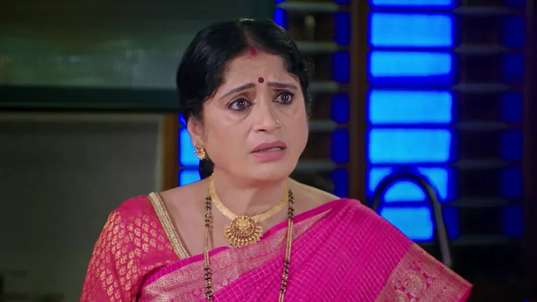 Lakshmi Nivasa - September 29, 2025 - Best Scene 