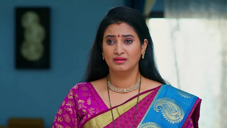 Apoorva Tries to Oust Krishna from the House Episode 76