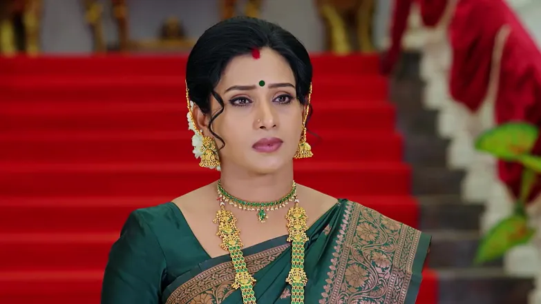 Bhadra's Evil Plan against Vidya Episode 51