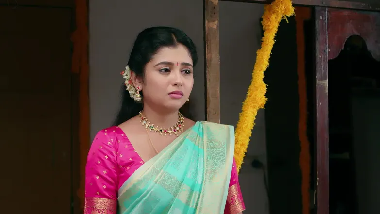 Anu Yearns for Shourya Episode 51
