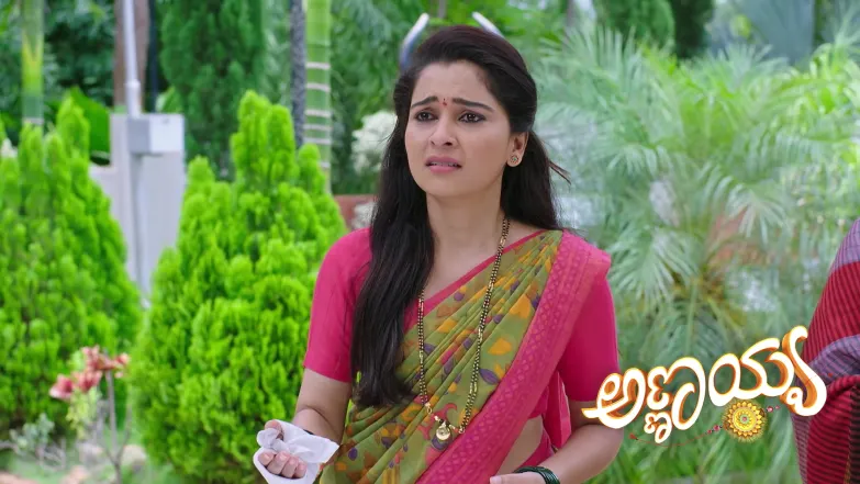 Will Nagegowda’s Group Apologise to Rani? Episode 312