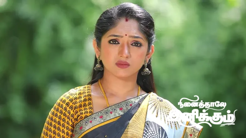 Bommi's Spirit Tries to Punish Nethra Episode 1409