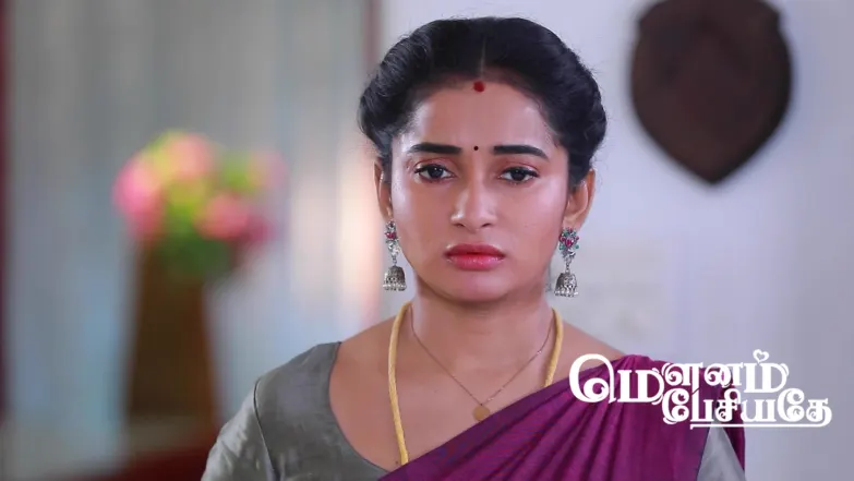 Meghala Schemes Against Rasu Episode 295