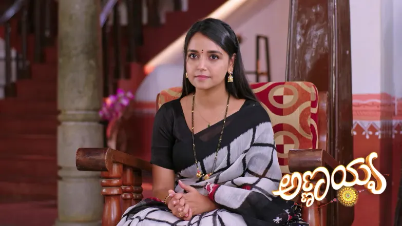 Annayya - October 21, 2025 Episode 314