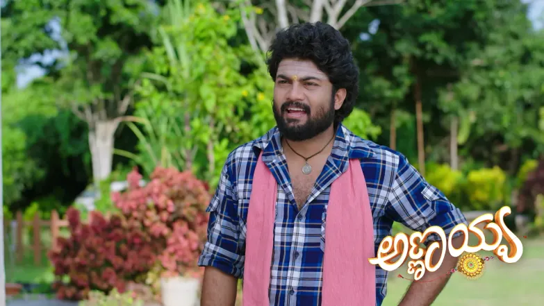 Annayya - October 20, 2025 Episode 313