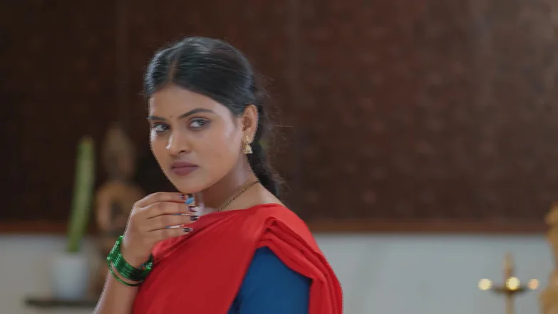 Meghasandesha - October 24, 2025 - Episode Spoiler