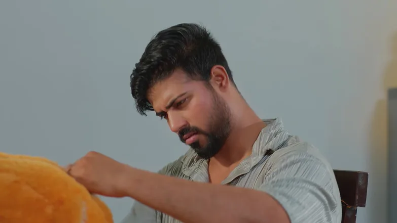 Meghasandesha - October 27, 2025 - Episode Spoiler