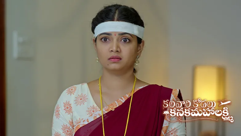Yamuna Lashes out at Vihari Episode 387