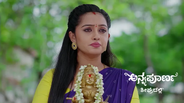 Avani to Take the Goddess's Idol to Srikar's Home Episode 999