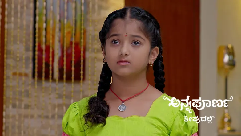 Avani Offers Shelter to a Drunken Srikar Episode 1001