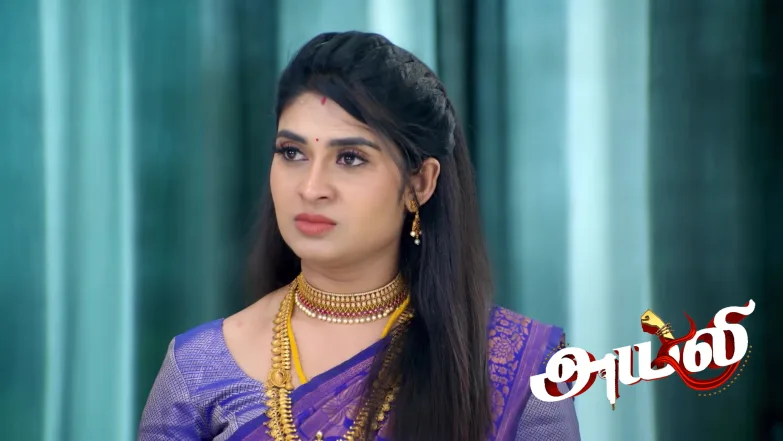 Ayali and Shiva Search Kabilan's Car Episode 122