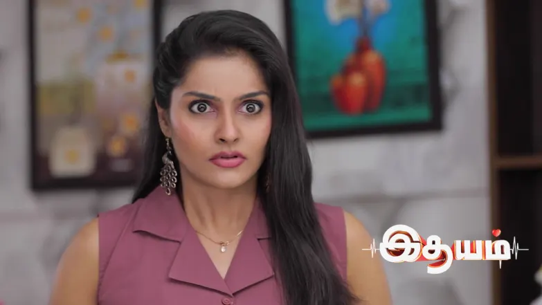 Aadhi's Question Scares Mithra Episode 826