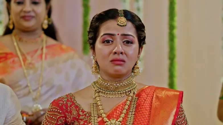 KrishnaGadha - November 09, 2025 - Episode Spoiler