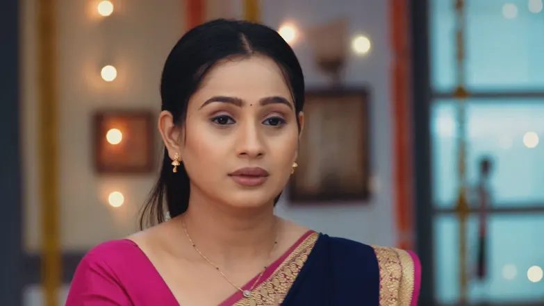 Lakshmi Niwas - November 07, 2025 - Episode Spoiler