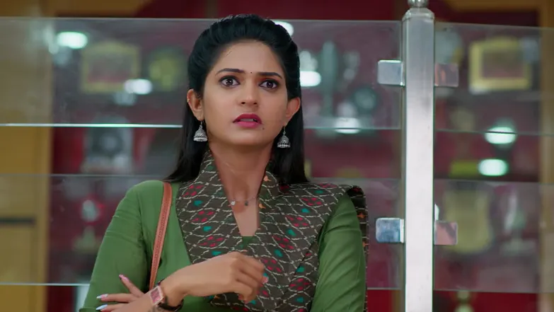 Raja Chinna Roja - November 05, 2025 - Episode Spoiler