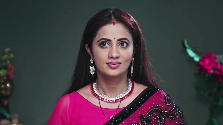 Shambu Informs Deepa and Durga about a 'Vrat' Episode 202