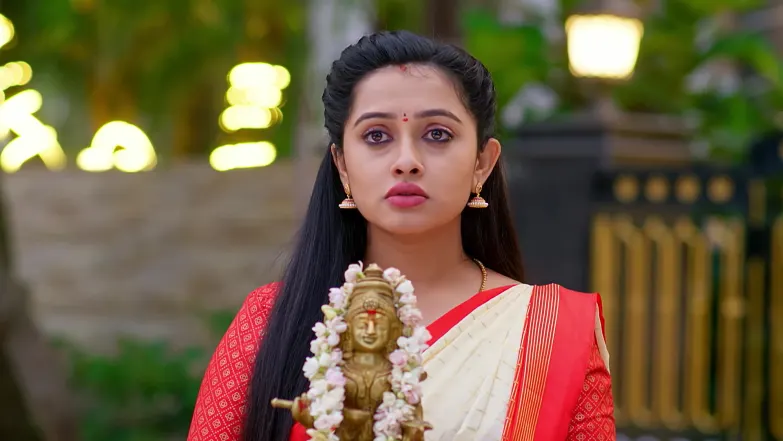 Annapoorna - November 06, 2025 - Episode Spoiler