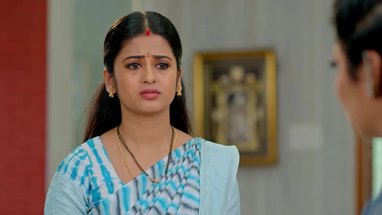 Dheerga Sumangali Bhava - November 04, 2025 - Episode Spoiler