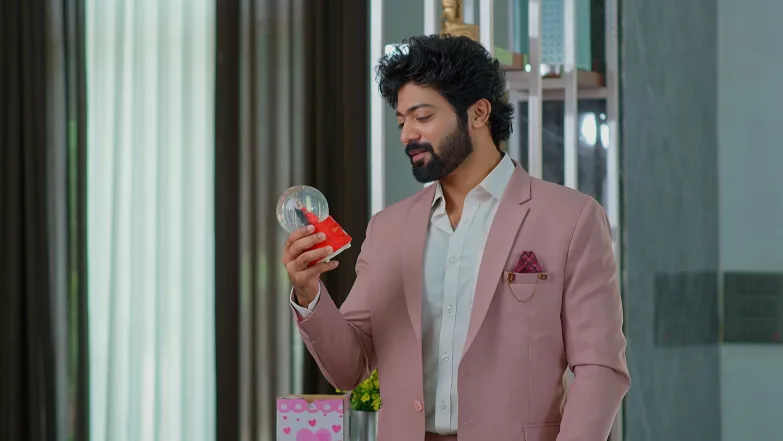 Lakshmi Nivasam - November 04, 2025 - Episode Spoiler