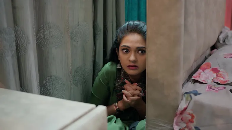 Raja Chinna Roja - November 06, 2025 - Episode Spoiler