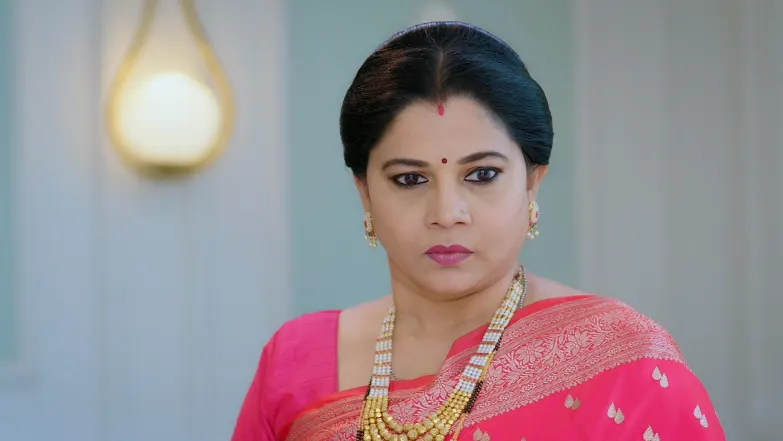 Savalyachi Janu Savali - November 08, 2025 - Episode Spoiler