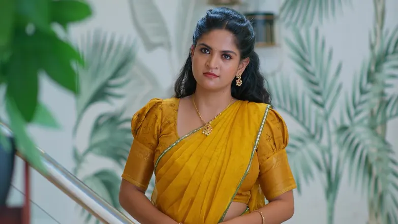 Bhanumathi Insults Tulasi’s Family Episode 228