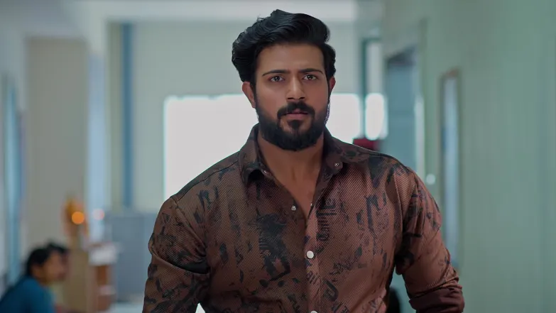 Meghasandesam - November 14, 2025 - Episode Spoiler