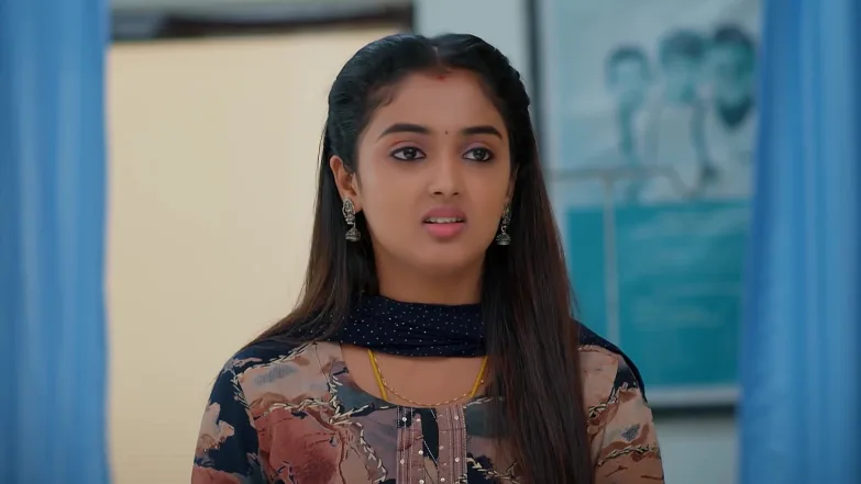 Meghasandesam - November 14, 2025 - Best Scene 