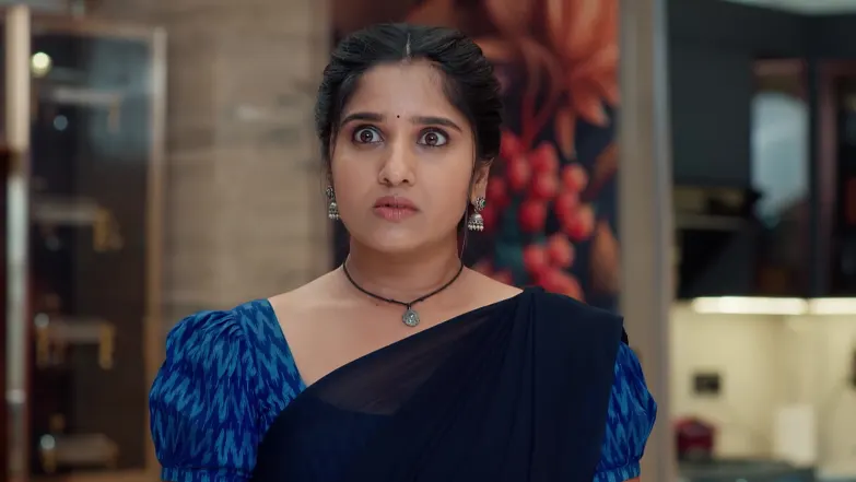 Chamanthi - November 14, 2025 - Episode Spoiler