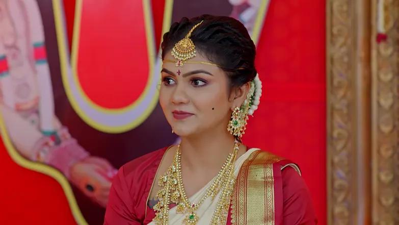 Dheerga Sumangali Bhava - November 14, 2025 - Episode Spoiler