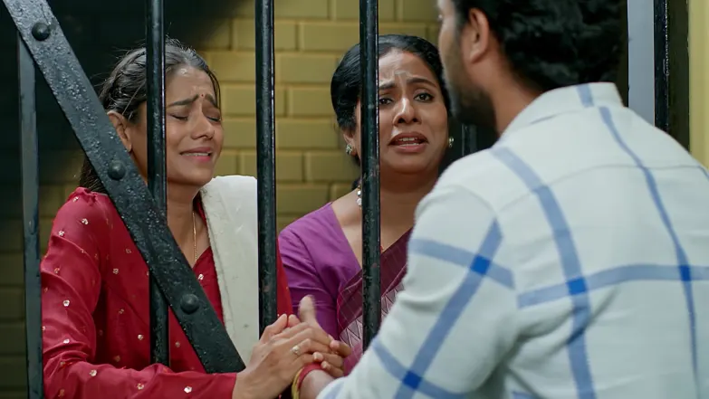 Gharana Mogudu - November 14, 2025 - Episode Spoiler