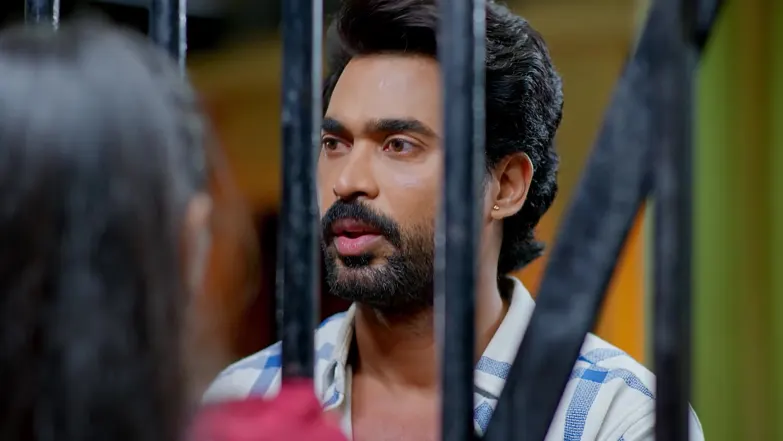 Gharana Mogudu - November 14, 2025 - Episode Spoiler