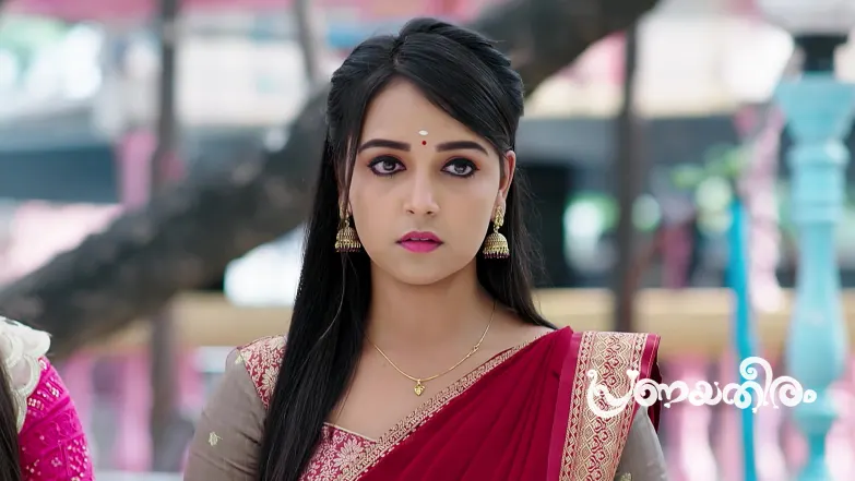 Geetha Faces Selvi's Criticism Episode 88