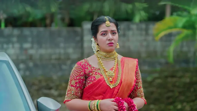 KrishnaGadha - November 11, 2025 - Episode Spoiler