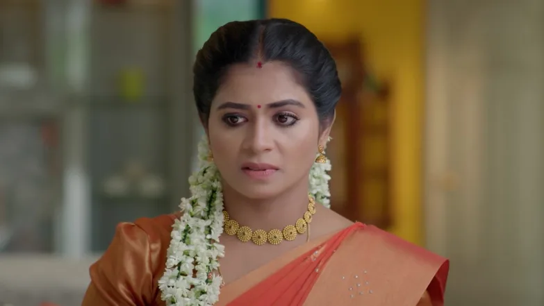 Chinnan Siru Kiliye - November 14, 2025 - Best Scene 