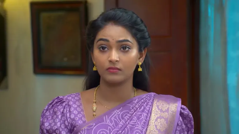 Sandhya Raagam - November 14, 2025 - Best Scene 