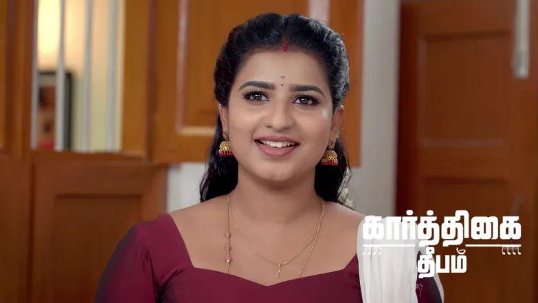 Raja Rescues Illairaja Episode 1041