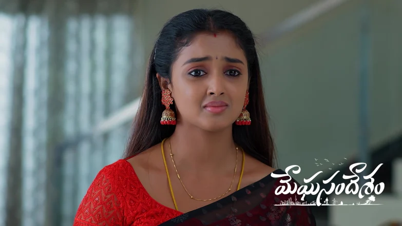 Meghasandesam - November 22, 2025 Episode 481