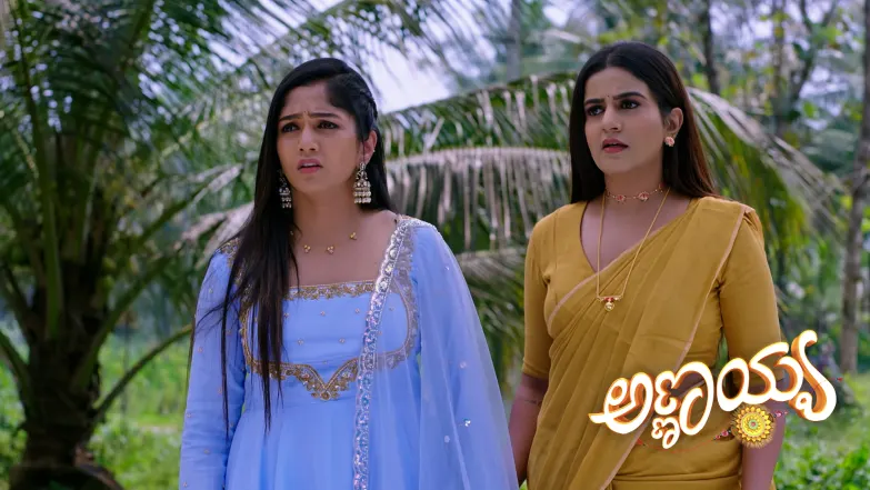 Shivanna and Parvathi Meet Karna, Nithya and Nidhi Episode 334