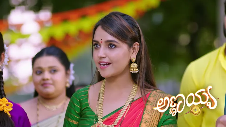 Annayya - November 21, 2025 Episode 338