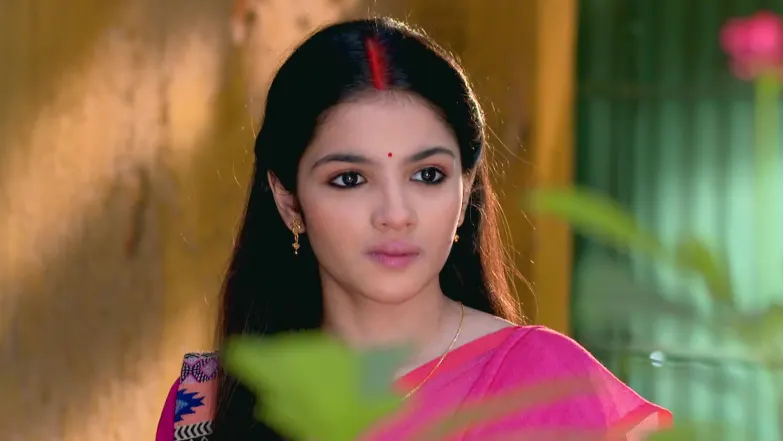 Anubhab Finally Agrees to Bring Bonolata Back Episode 66