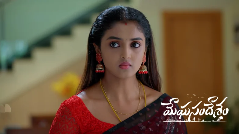 Meghasandesam - November 23, 2025 Episode 482