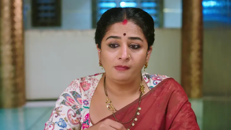 Shravani Subramanya - November 26, 2025 - Episode Spoiler