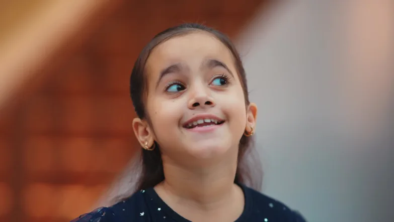 Lakshmi Niwas - December 05, 2025 - Episode Spoiler