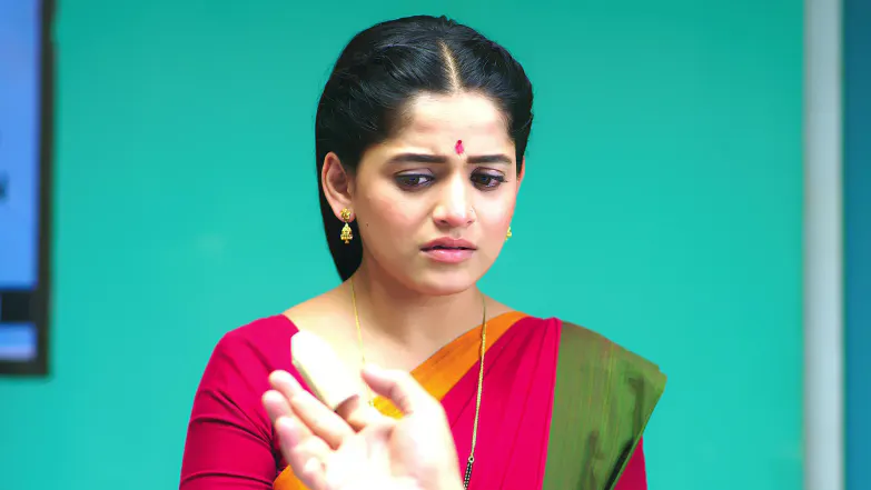 Paaru - December 05, 2025 - Episode Spoiler