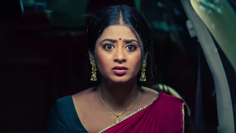 Bhagyalakshmi Risks Her Life for Mithra Episode 19