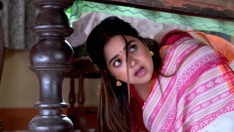 Sriman Bhogoban Das - December 08, 2025 - Episode Spoiler