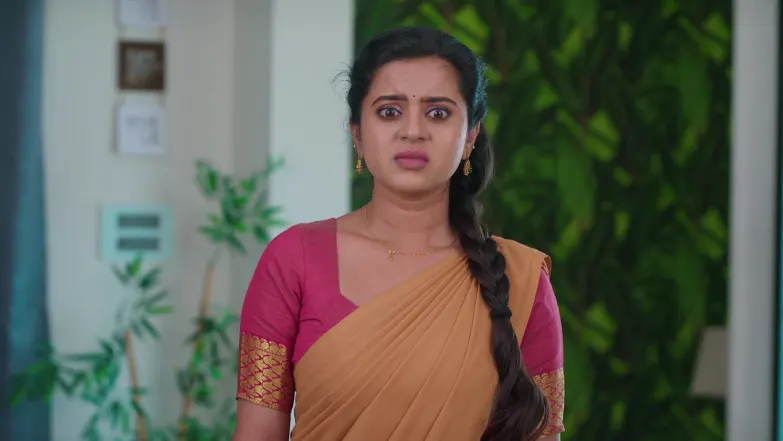 Gouthami's Act Gets Exposed in front of Ramadevi Episode 91