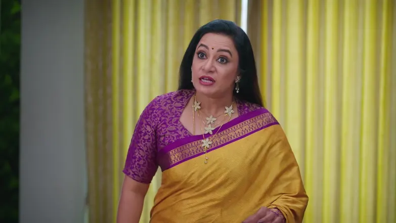 Gowri - December 09, 2025 - Episode Spoiler